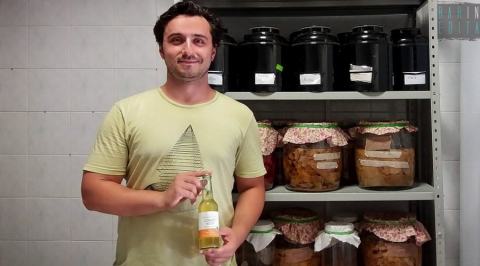 Alla scoperta del Kombucha: millenario "elisir di lunga vita" prodotto a Bari 